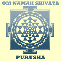 Om Namah Shivaya MP3 Album